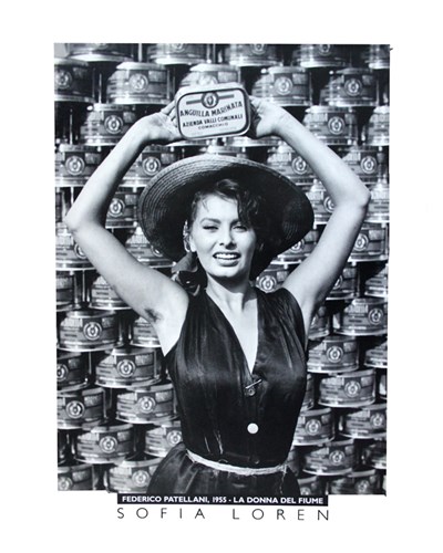 Sofia Loren 98cmx68cm-570